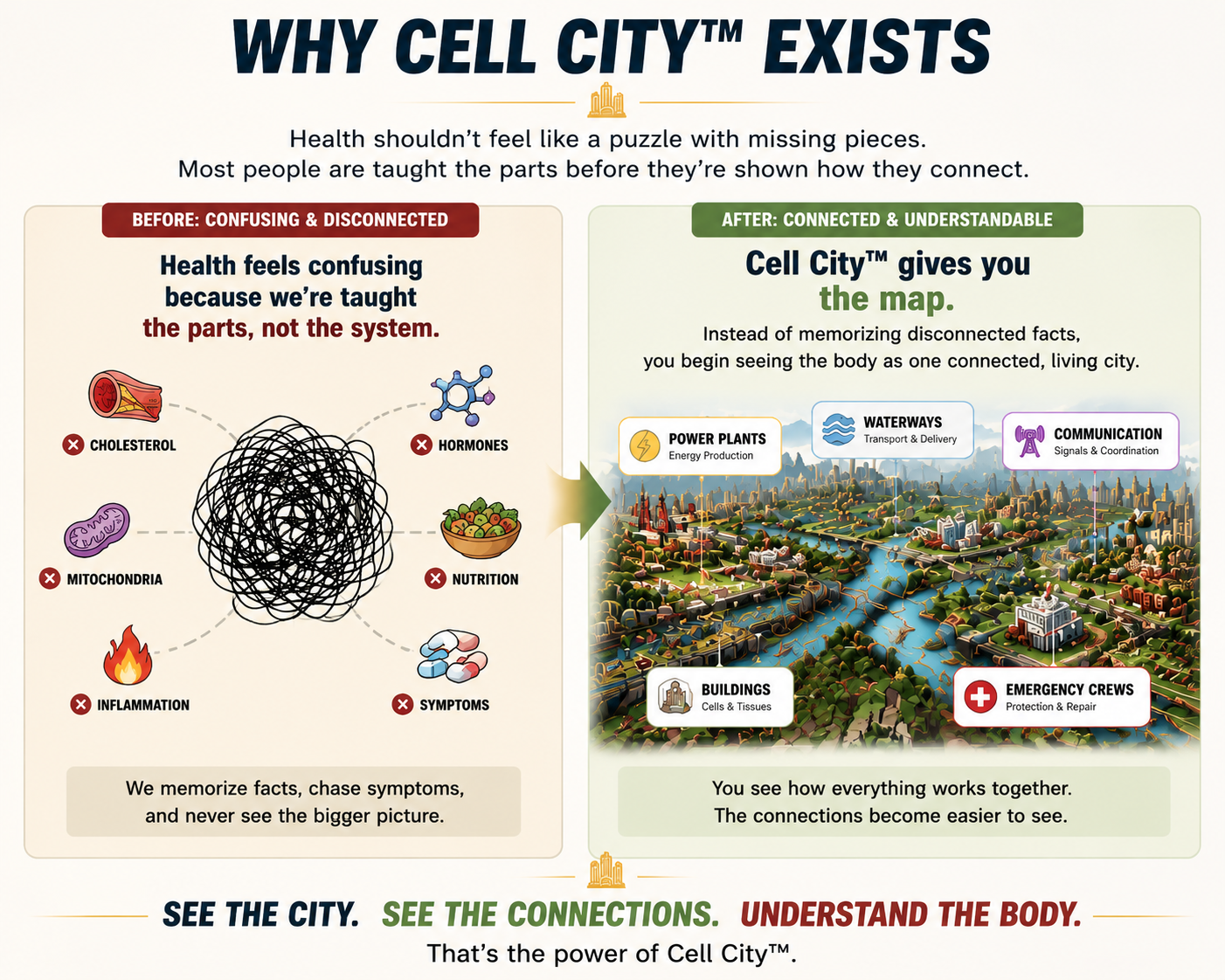 Why Cell City exists: moving from disconnected health facts to one connected living city.